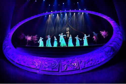 遼寧歌舞團(tuán)最新大型民族舞蹈精品晚會 舞與倫比 沈陽首演