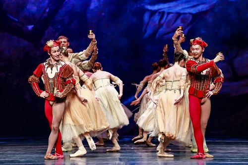 圖賞 優雅的天鵝,演繹足尖上的精彩 sp 150 600mm g2